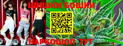 крисы Кандалакша